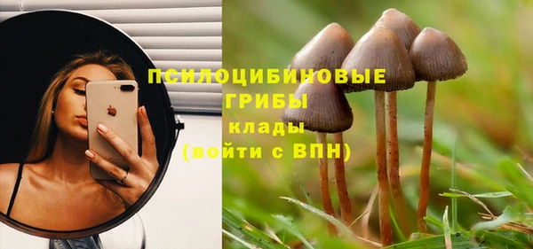 синтетический гашиш Белокуриха